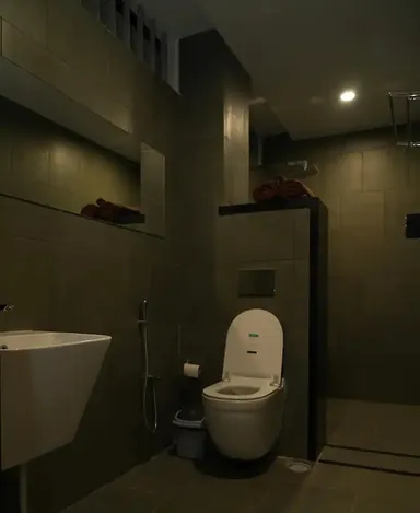 Elegant Contemporary Mansion image 29