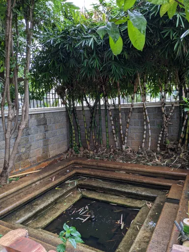 Duplex Guest House image 19