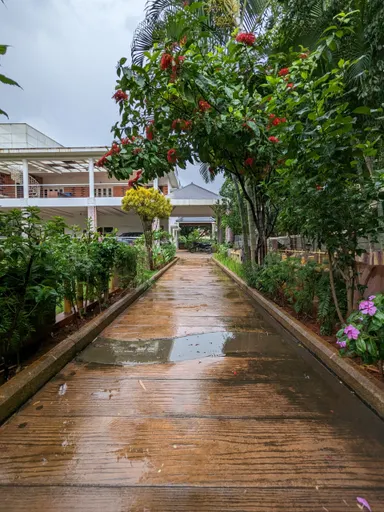 Duplex Guest House image 7